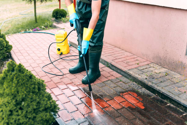 Animal Enclosure Cleaning in Deer Park, WA